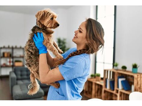 Veterinário em Domicílio no Vintage