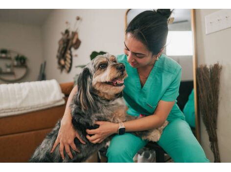 Veterinário à Domicílio no Vintage
